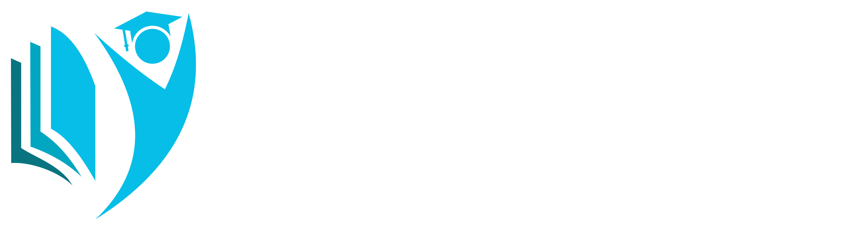 PRO-BI SMART